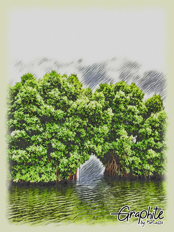 Digital Mangrove art, digital artwork HQ printable